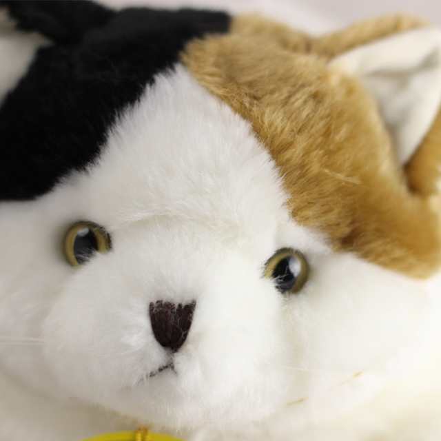 猫のぬいぐるみ 日本製 デブ猫 M 猫 ぬいぐるみ リアル かわいい ねこ ネコ 猫雑貨 でぶねこ でぶ猫 デブネコ の通販はau Pay マーケット キレイスポット