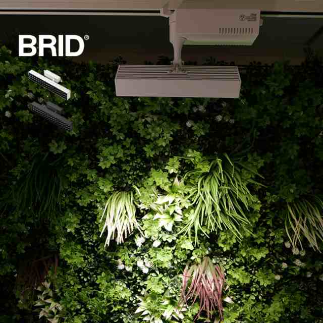 BRID LED スポットライト for プランツ 30W(植物育成ライト 植物育成LEDライト 植物 育成 ライト LEDライト 観葉植物)【F】【R】【E】