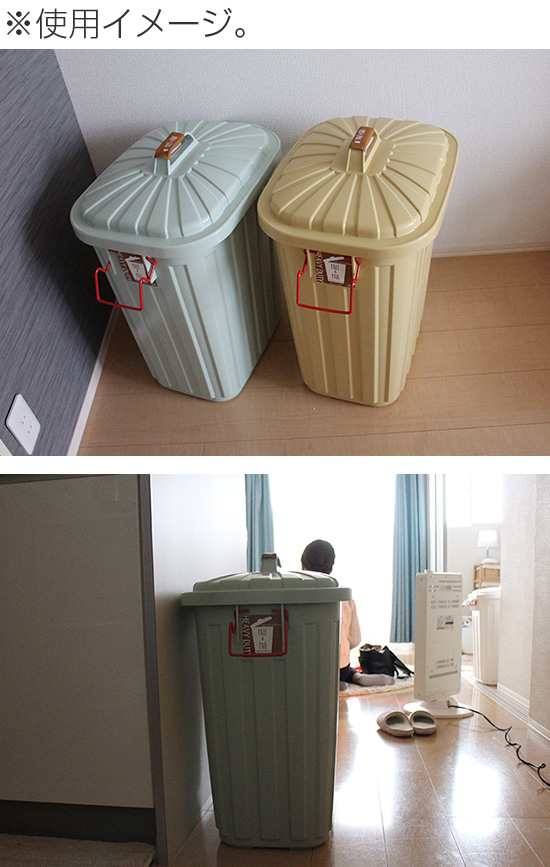 ペールペール ゴミ箱 Pale Pail Iwly4010 2個セット 大容量 60l 屋外 分別 ふた付き おしゃれ 大型 ごみ箱 の通販はau Pay マーケット キレイスポット