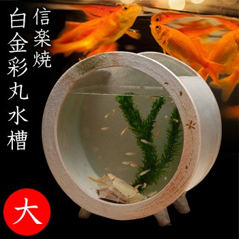 販売直販店 信楽焼 陶水槽 白金彩丸水槽(大) 541-02(金魚鉢