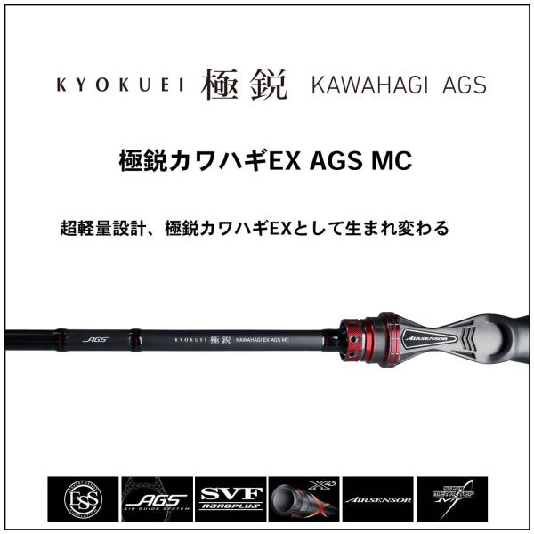 ﾀﾞｲﾜ 極鋭ｶﾜﾊｷﾞEX AGS MC (1ﾋﾟｰｽ) 【公式通販】