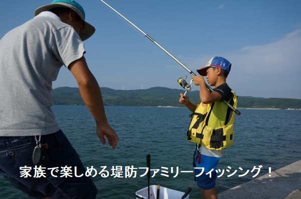 アジ釣リ 入門 初心者 セット サビキ 堤防釣リ アジ サバ イワシ 海釣リの通販はau Pay マーケット 釣具のキャスティング Au Pay マーケット店