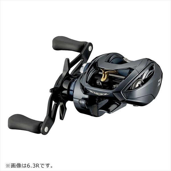 ダイワ DAIWA 21 スティーズ A TW HLC 7.1R 右巻