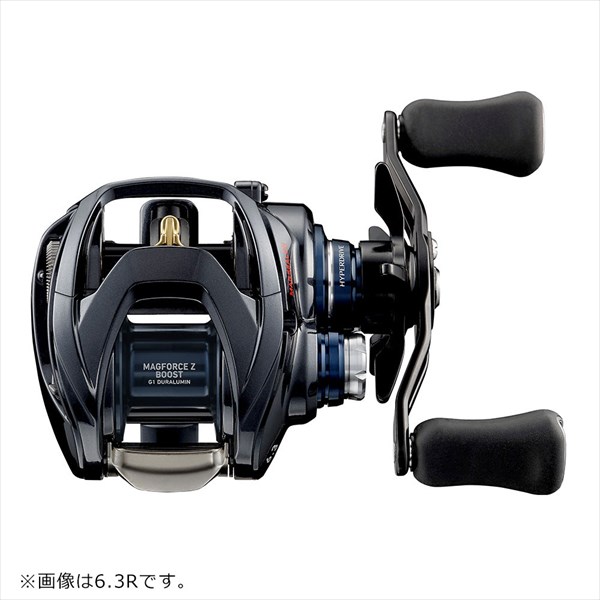 ダイワ DAIWA 21 スティーズ A TW HLC 7.1R 右巻