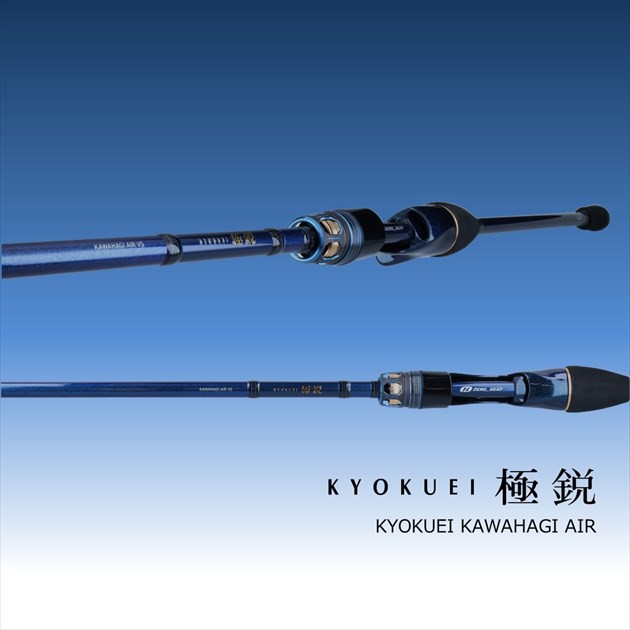 DAIWA カワハギ極鋭 AIR VS 極美品 - マリンスポーツ