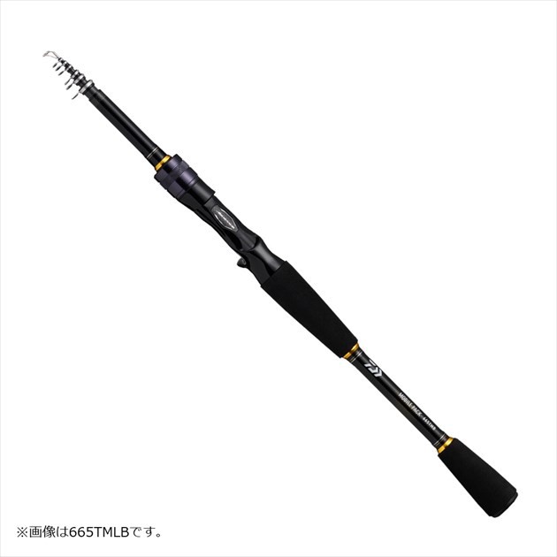 ダイワ(DAIWA) 19 雪渓 硬調 静謐 39M・R