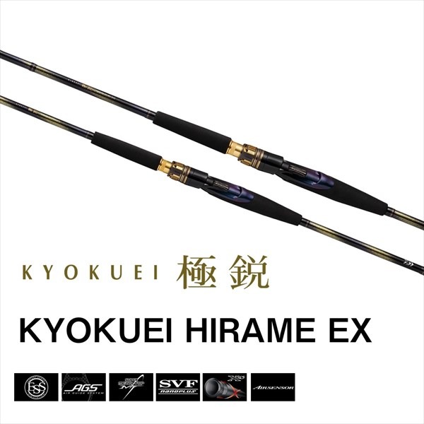 Daiwa 】極鋭 ヒラメ 300