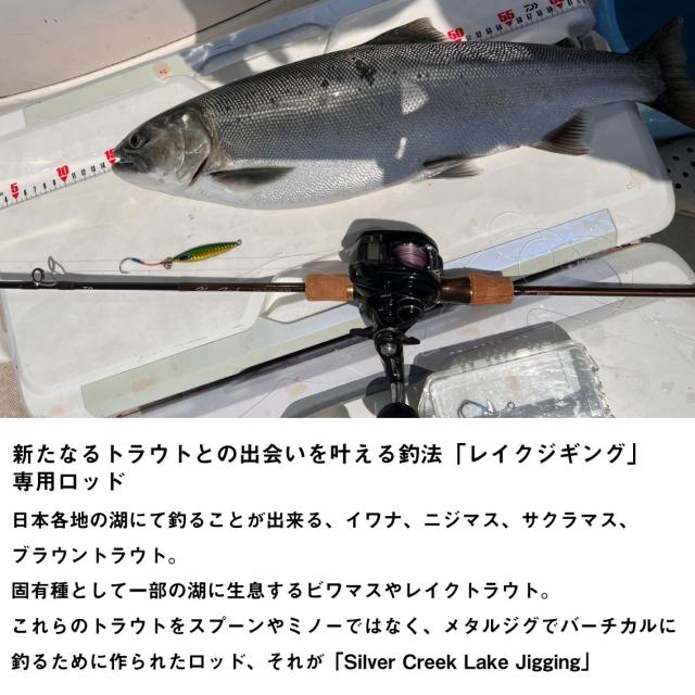 シルバークリーク レイクジギング 63LB-S