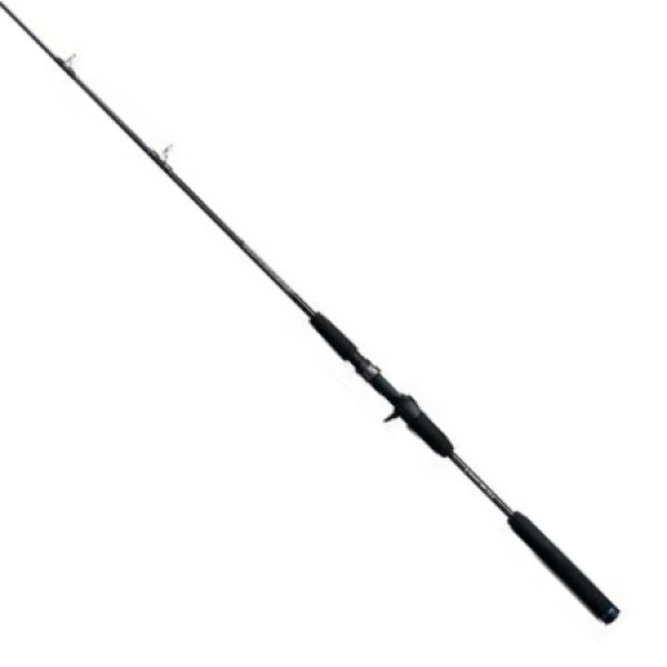 船竿 ダイワ メタリア ビシアジ M-170・V / daiwa 釣具の通販は