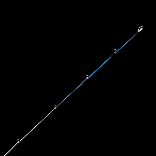 31441058_3