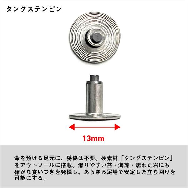 ダイワ  DS-3150G-TG TGロックショア ゴアテックスシューズ TGスパイク ブラック 29_5