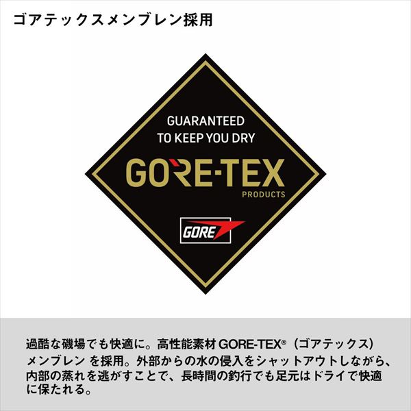 ダイワ  DS-3150G-TG TGロックショア ゴアテックスシューズ TGスパイク ブラック 29_7