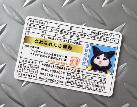 なめ猫 ステッカー かわいい レトロ 昭和 懐かしい 猫 グッズ 免許証02 又吉の通販はau PAY マーケット - アメリカン雑貨ジャンクヤード  | au PAY マーケット－通販サイト