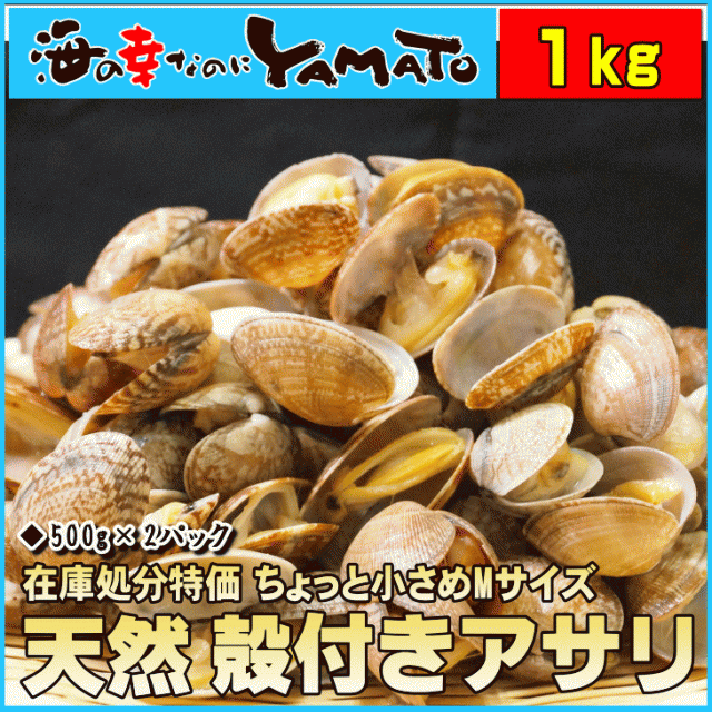 年度末激安在庫処分 天然 殻付きアサリの旨味ボイル ちょっと小粒なMサイズ 500g×2パック あさり 貝 カイ 浅利の通販はau Wowma! -  海の幸なのにYAMATO