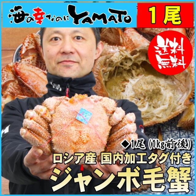 蟹 カニ かに タグ付き ジャンボ毛蟹 ロシア産 1kg前後 けがに ケガニ お歳暮 お年賀 ギフト ギフト 60代 70代 内祝い グルメ 贈答 海の通販はau Pay マーケット 海の幸なのにyamato