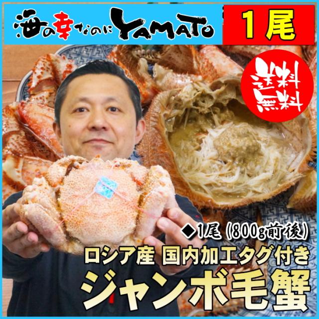 蟹 カニ かに タグ付き ジャンボ毛蟹 ロシア産 800g前後 けがに ケガニ お歳暮 お年賀 ギフト 60代 70代 内祝い グルメ 贈答の通販はau Pay マーケット 海の幸なのにyamato