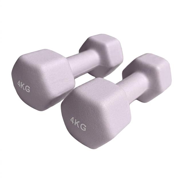 ダンベル 4kg 2個セット おしゃれ くすみカラー カラーダンベル