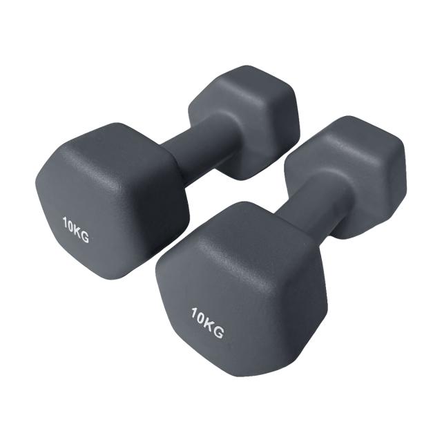 新品商品 10kg ダンベル 2個セット プロ使用 鉄アレイ ダンベル 10kg 2個セット おしゃれ くすみカラー カラーダンベル
