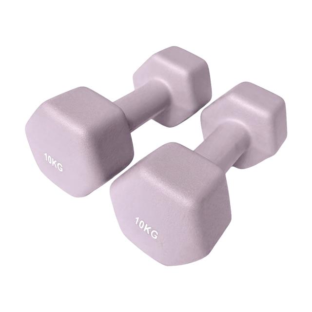 ダンベル 10kg 2個セット おしゃれ くすみカラー カラーダンベル
