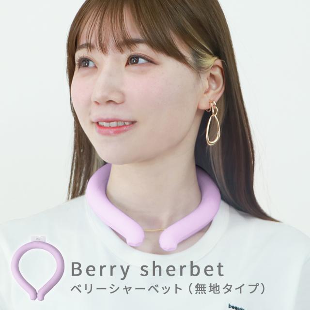サミットインターナショナル リリードリーム X　温圧機　検電器 付き サミットインターナショナル リリードリーム X温圧機検電器 付き