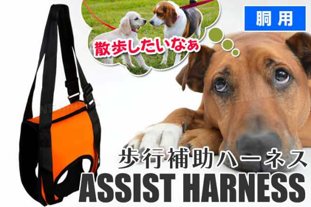 送料無料 犬用ハーネス 胴 中型犬用 老犬介護用 歩行補助ハーネス 前足用 ペット用品 介護ハーネス 胴輪の通販はau Pay マーケット ウェイモール