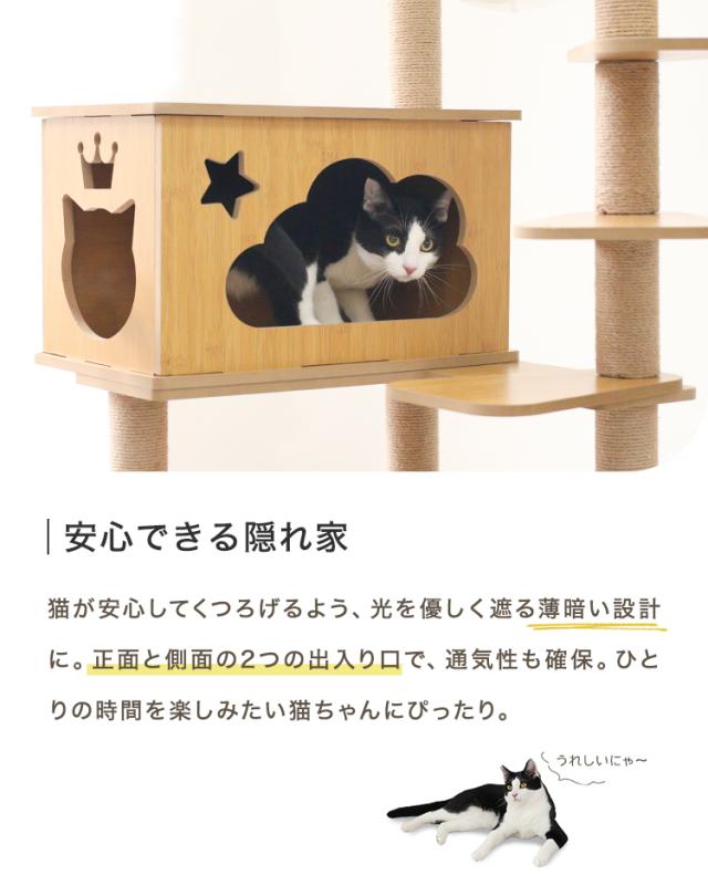 ❤仔猫もシニア猫も遊べる＆ゆったり寛げると大人気♪❤お洒落キャット