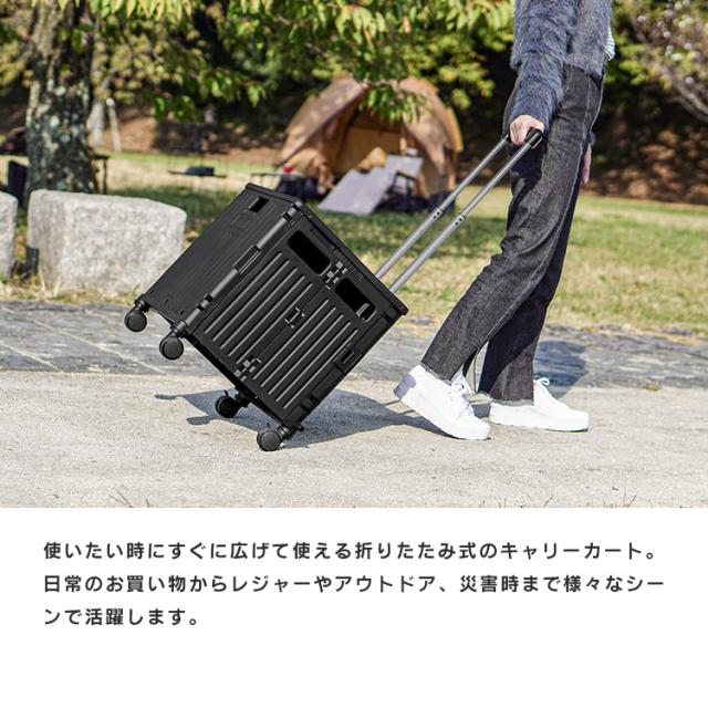 キャリーカート 4輪 折りたたみ 座れる カート 42L ショッピングカート