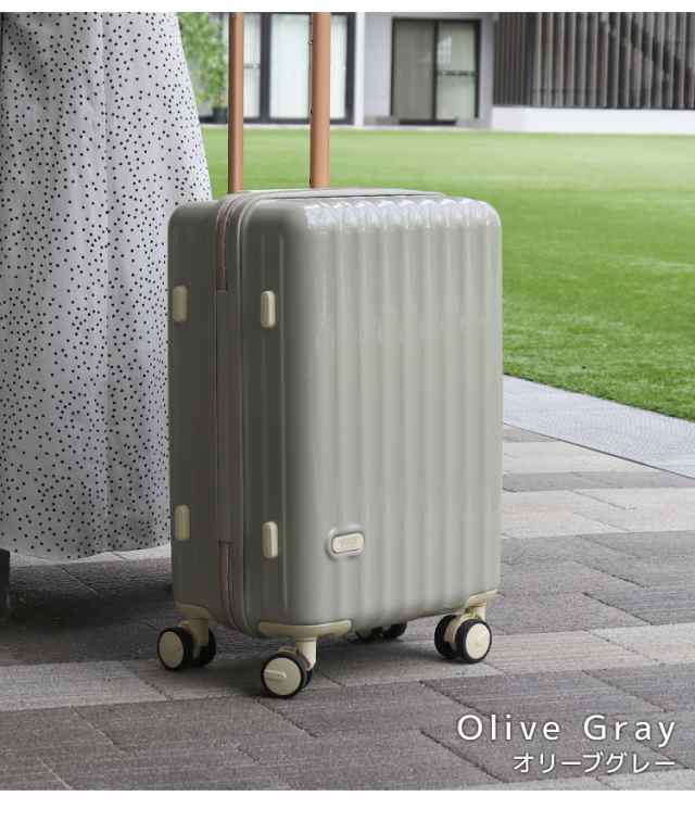 キャリーケース ライトグレー スーツケース 上品カラー 4-6泊 おまけ付 軽量 キャリーケース Sサイズ 機内持ち込み スーツケース 39L 軽量