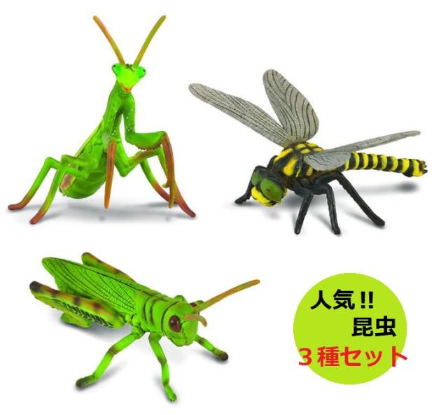 オータニ昆虫館　カマキリダーター オータニ昆虫館 カマキリダーター