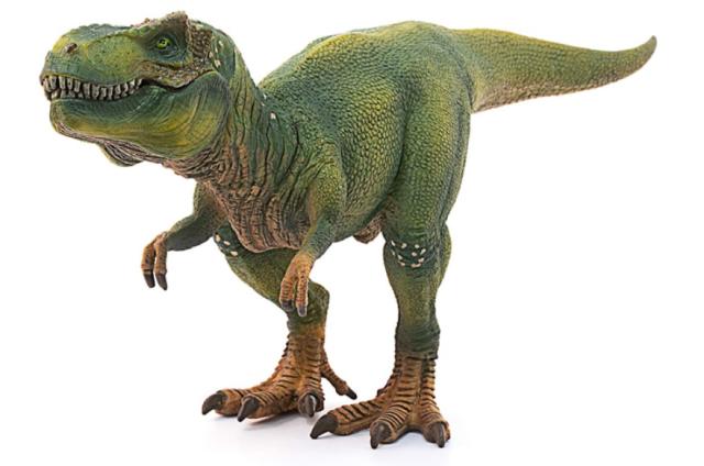 当店限定品 シュライヒ Schleich 恐竜 ティラノサウルス レックス フィギュア 恐竜ボーロ 50g 2種セット の通販はau Pay マーケット なかのふぁくとりー Au Pay マーケット店