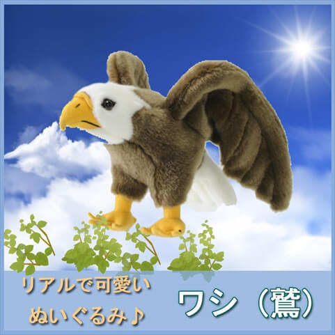 Tst ぬいぐるみ101 スタンディング ワシ ぬいぐるみ 空の生物 鷲 鳥 動物 自然 ヌイグルミ おもちゃ クリスマスの通販はau Pay マーケット なかのふぁくとりー Au Pay マーケット店