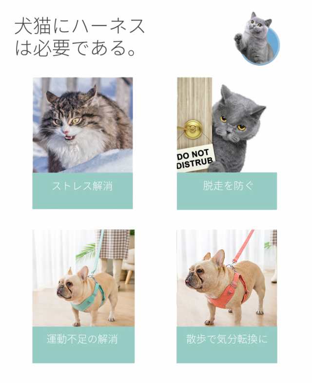 犬猫用胸当て＆ハーネス＆リードセット ペット胸当て ペットリード 犬