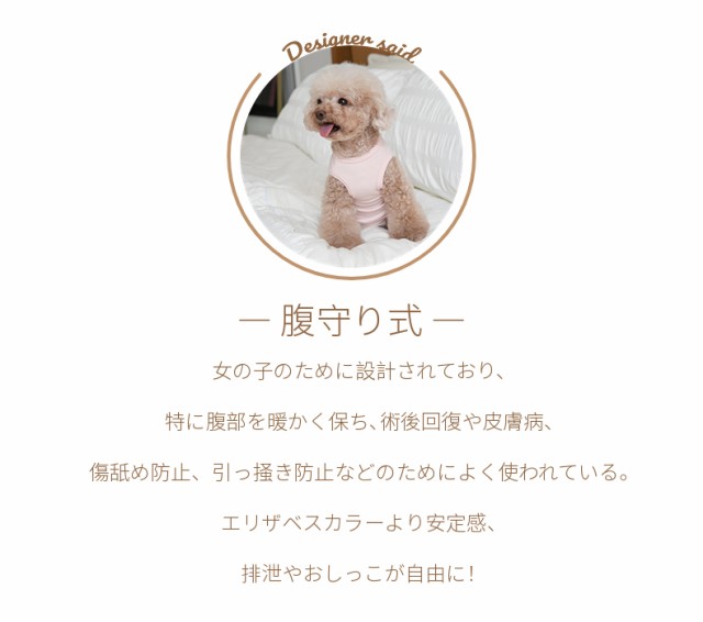 犬用 猫用術後服 小中型犬用 女の子 雌用 四脚 術後着 術後ウェア 傷口舐めない エリザベスカラー 避妊 離乳 手術 腹部/皮膚/傷口保護  犬の通販はau PAY マーケット - 直店.com | au PAY マーケット－通販サイト