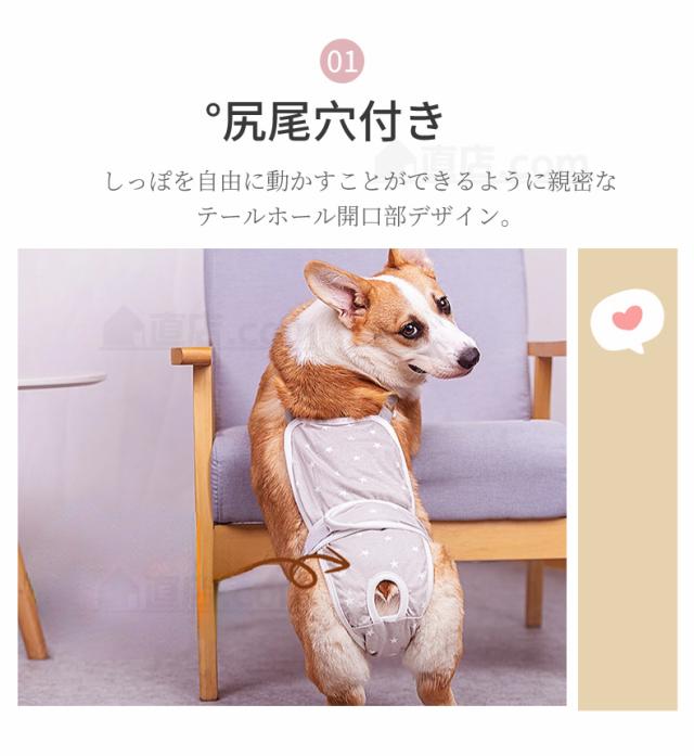 小型犬　おむつ　しっぽ穴カット済 小型犬おむつしっぽ穴カット済
