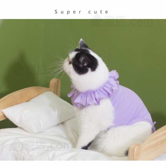 東京発送即納 猫専用術後服 離乳期 手術後 避妊 去勢 生理期 怪我 ネコキャット術後ウェア/傷口舐めない皮膚保護 男女用 ふんわり生地のの通販はau  PAY マーケット - 直店.com | au PAY マーケット－通販サイト