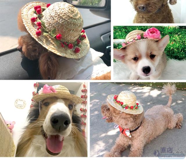 市場 ペット 帽子 犬 麦わら帽子 パグ かわいい 猫 ペット用品