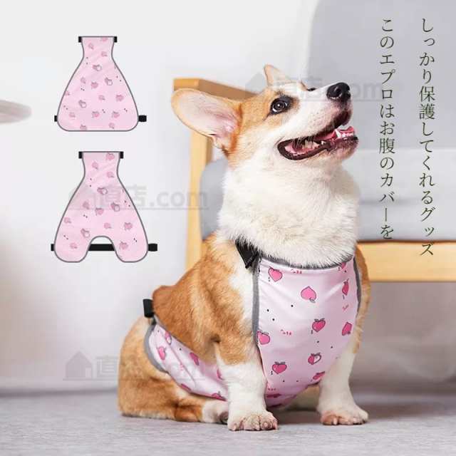 犬 セール 散歩 服 汚れる