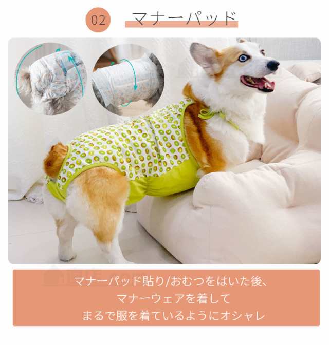 犬用マナーウェア コーギー専用 柴犬専用 マナーパンツ 犬用