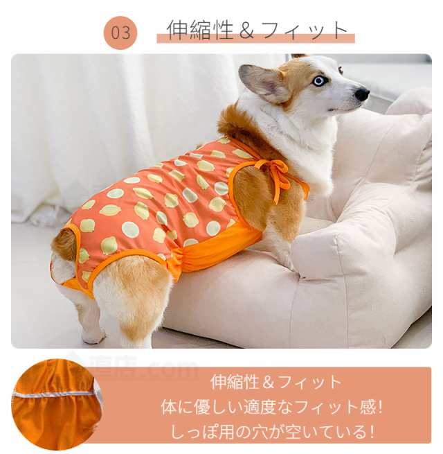 犬用マナーウェア コーギー専用 柴犬専用 マナーパンツ 犬用