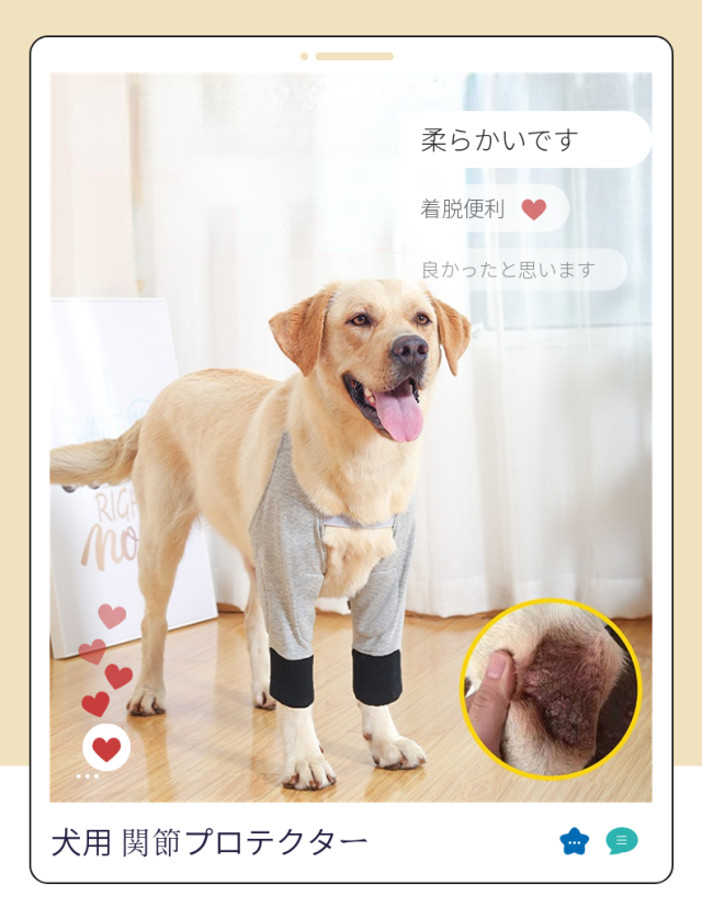 中大型犬用膝サポーター 犬用 関節プロテクター前足 犬服 関節
