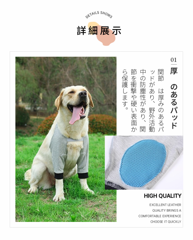 一枚 犬用 ひざ(足根) サポーター 関節 骨折治療 老犬 介護 関節