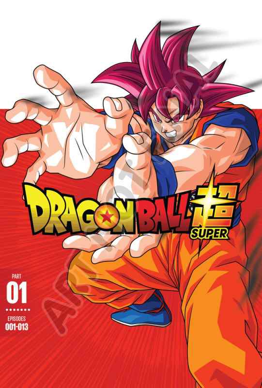 ドラゴンボール超 破壊神ビルス編 1 13話boxセット Dvd の通販はau Pay マーケット ツーアール