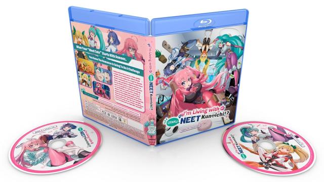 ニートくノ一となぜか同棲はじめました 全24話+OVA2話BOXセット ブルーレイ【Blu-ray】 北米版