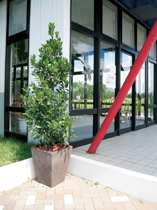 プランター 大型 植木鉢 長方形 テラコッタ 鉢 陶器鉢 おしゃれ アンティーク 風 963ll 黒土 幅400 奥行400 高さ470 深型 ガーデニングの通販はau Pay マーケット エストアガーデン