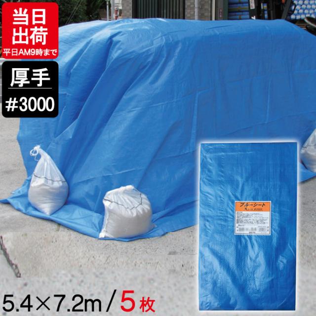 ブルーシート 厚手 5.4×7.2m #3000 5枚単位 ハトメ付 レジャー シート 敷物 ござ 災害 台風 防災 養生 対策 運動会 行楽 花見 海水浴 キャンプ テント 雨よけ 防水 屋外 アウトドア 作業 道具  DIYの通販は