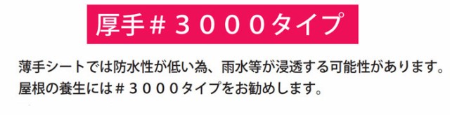 ブルーシート 厚手 10×10m #3000 1枚単位 レジャー シート 敷物 ござ 災害 台風 防災 養生 対策 運動会 行楽 花見 海水浴  キャンプ テンの通販はau PAY マーケット エストアホーム au PAY マーケット－通販サイト