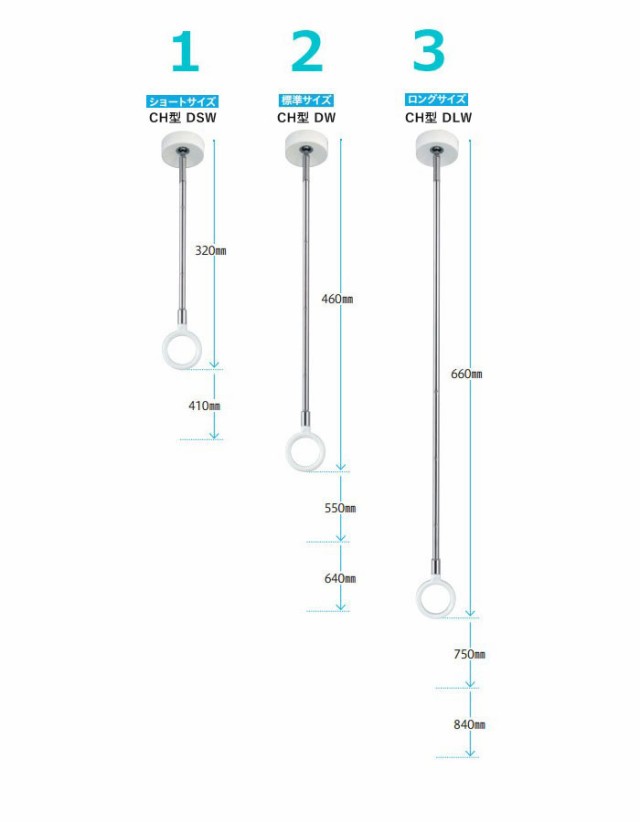 物干し 室内物干し 吊り下げ 物干金物 スカイクリーン CH型 DSW