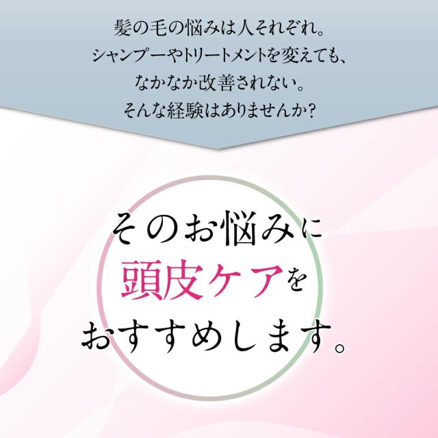 美ルル ブリリアントヘアーミニ EMS スカルプケアマシン【送料無料・1年間保証】EMS 頭皮マッサージ 頭皮ケア リフトアップ リフトケア 頭皮ほぐし 赤色LED RF温熱 育毛 薄毛 プレゼント 発毛 抜け毛 AGA プレゼント 父の日の通販は