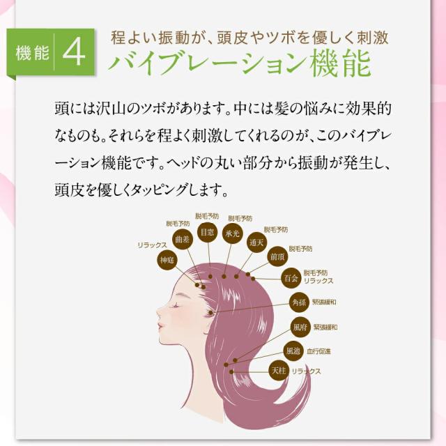 美ルル ブリリアントヘアーミニ EMS スカルプケアマシン【送料無料・1年間保証】EMS 頭皮マッサージ 頭皮ケア リフトアップ リフトケア 頭皮ほぐし 赤色LED RF温熱 育毛 薄毛 プレゼント 発毛 抜け毛 AGA プレゼント 父の日の通販は