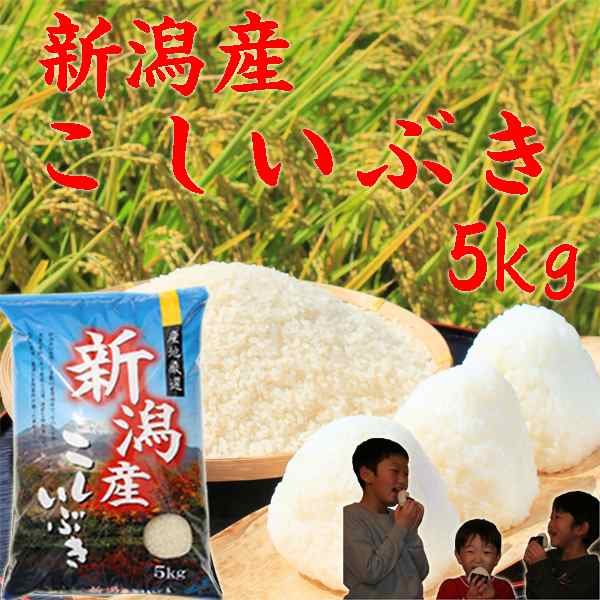 米 お米 5kg 令和5年 新潟産 こしいぶき 5kg 新潟県産 米５キロ 白米 お米5kg 分づき お米 5kg 安い 5キロ 美味しいお米 新潟産米  農家 の通販はau PAY マーケット - コシヒカリの郷小出農場 | au PAY マーケット－通販サイト